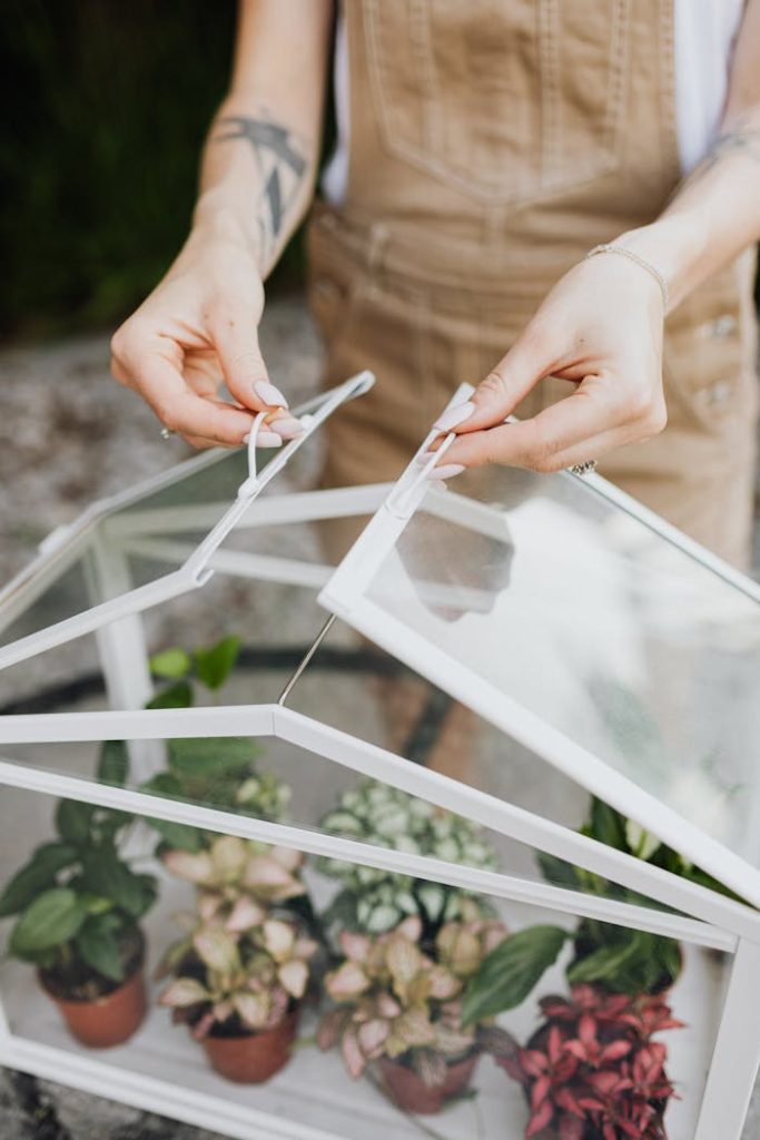 A woman tends to potted plants in a small tabletop greenhouse.